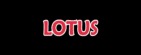 Lotus Button Pic.jpg