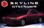 Nissan Skyline Pic.jpg
