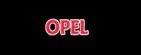 Opel Button Pic.jpg
